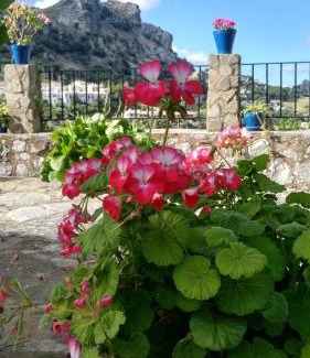 Grazalema House | Don Claudio