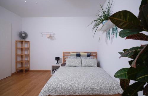 Breite House | Doppelzimmer in der nähe des Flusses und Stadions