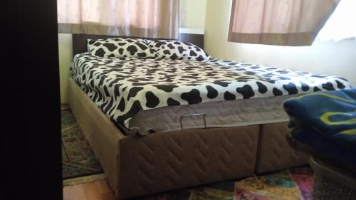 Kepez House | Dormitory Pension Sofas Bunk Bed Rooms in Homestay Apartment