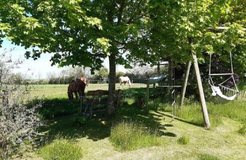 Heringsdorf House | Dorpsbeauty aan de Oostzee