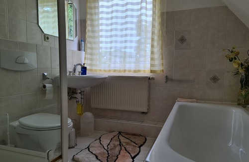 Kleinzschachwitz Apartment | Double room directly opposite Pillnitz Castle