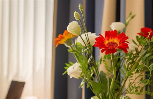 Leipziger Vorstadt House | Double room, shower, toilet - Hotel Novalis Dresden