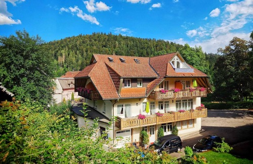 Todtmoos Apartment | Double room with private shower and shared WC, max 2 persons