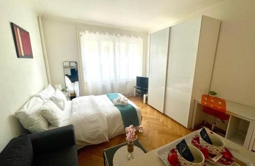 Lausanne Apartment | Down Town Studio