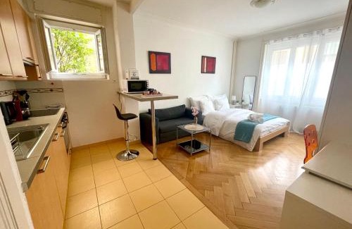 Lausanne Apartment | Down Town Studio