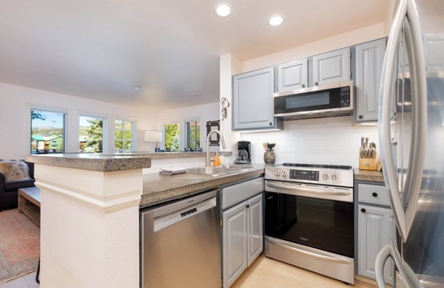 Telluride Condo | Down town Telluride with Pool, Hot Tub, Parking and breathtaking views!