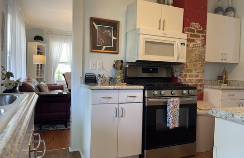 Brevard House | Downtown + Comfort! Pretty Place