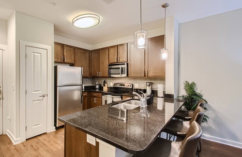 The Gulch Apartment | Downtown in the Gulch - Spacious 1bed/1bath - Stay like you Live here!