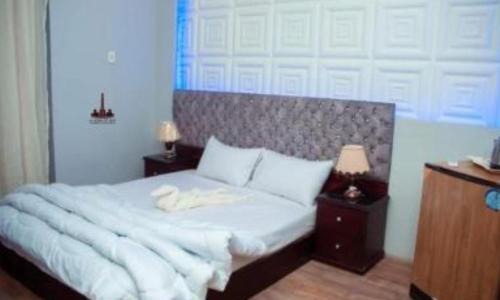 Qasr an-Nil Hotel | Downtown Tahrir view hotel - foreiigners only