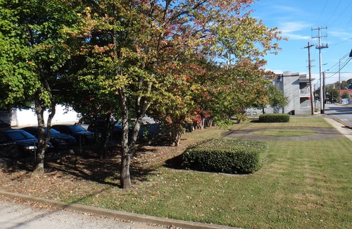 MLK University Apartment | Downtown Victorian Flat Great Location and free Parking