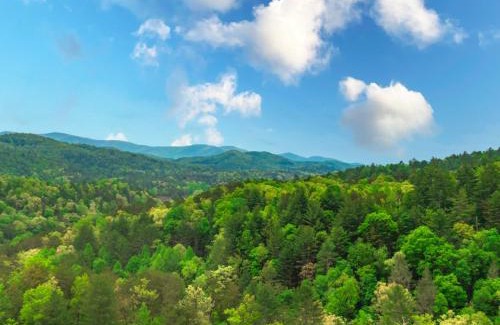 Foxfire Estates House | Dream Catcher - 270 Degree Mountain Views