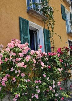Brissago Apartment | Dream vacation on the lake
