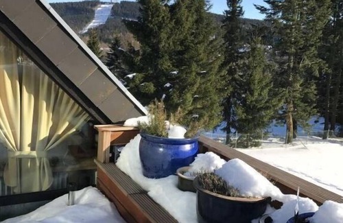 Hahnenklee House | Dream view Comfortable holiday residence