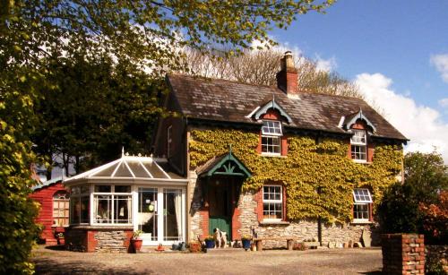 Pairc Na Gloine Bed & Breakfast | Druid Cottage