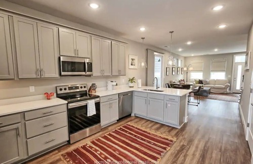 Chattanooga House | DT Southside Chattanooga-Rooftop/whole home