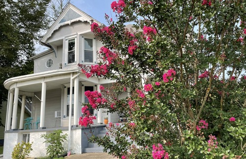 Clarksville Apartment | ❤DT Victorian Apt A❤ 3br~2ba~King~Walk to DT❤