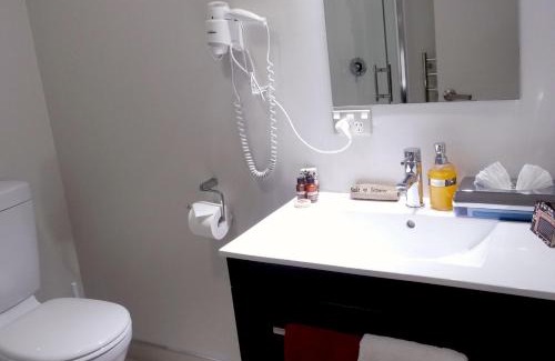Dunedin City Centre Hotel | Dunedin Palms Motel