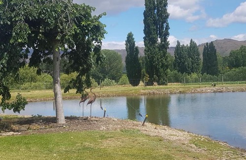 Alexandra Bed & Breakfast | Dunstan Road B&B