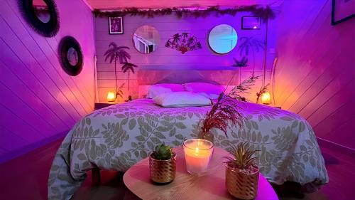Saint-Clement-des-Levees House | Duo exotique au Mirage Tropical en Bord de Loire