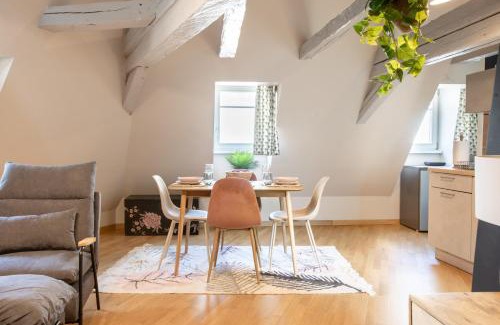 Mulhouse Apartment | Duplex atypique au cœur de Mulhouse
