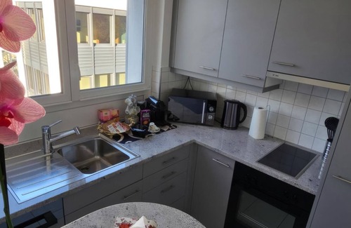 District 8 Apartment | Duplex Dream Lake View Gold Coast 3 km from Zurich