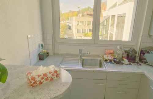 District 8 Apartment | Duplex Dream Lake View Gold Coast 3 km from Zurich