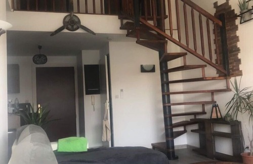 Blagnac Apartment | Duplex en Terraéro