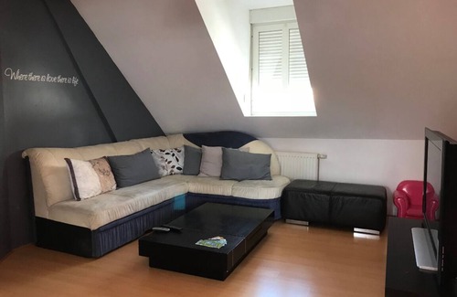 Mulhouse Apartment | DUPLEX F4 Historic center
