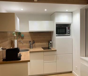 Historic Center Apartment | Duplex Vieux Lille