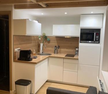 Historic Center Apartment | Duplex Vieux Lille