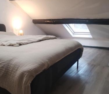 Gosselies Apartment | Duplexe cosy Gosselies proche aéroport