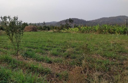 Chikkaballapur House | Earthly Life