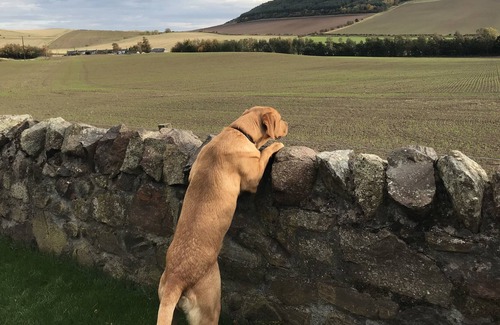 Cupar Cottage | East Cottage, Parbroath Farm near Cupar in Fife