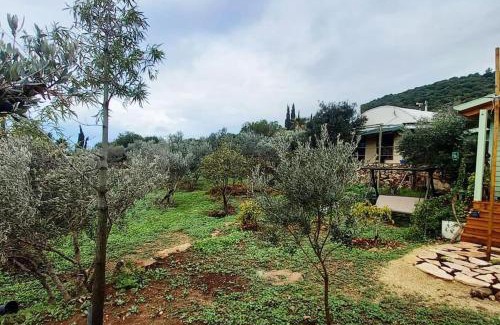 Klil Ski Chalet | East woodhouse