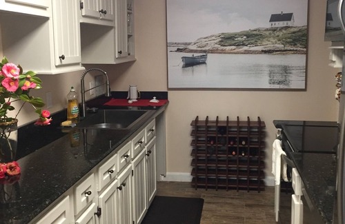Wilmington Historic District Apartment | Easy Living by The Water . Quiet, Secure, private Historic Downtown.