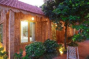Hoa Lu Cabin | Eco Field Nest Tam Coc
