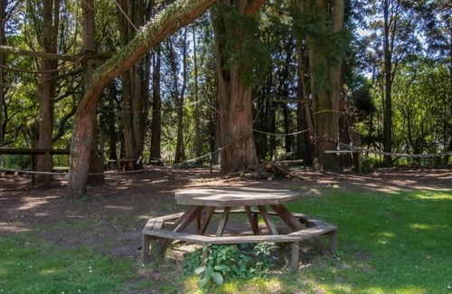 Burgess Park Cabin | Eco Lodge for Outdoor Groups in New Plymouth