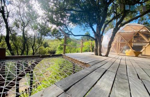 San Jose De Los Llanos Resort | Eco-Resort Domo Maestra