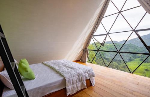 Rattota Hotel | Eco Vibe Resort
