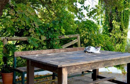 Algodonales House | EcoAlbergue Rural de Algodonales