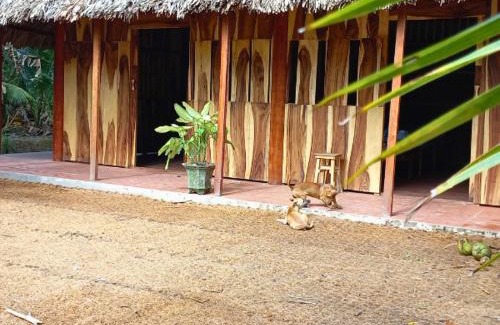 Giong Trom Other | Ecoco Homestay Mekong