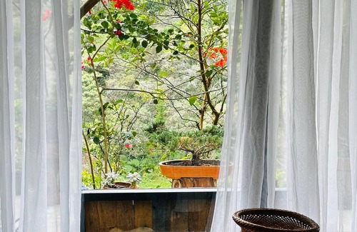 Rionegro Apartment | ecohotel zona 7