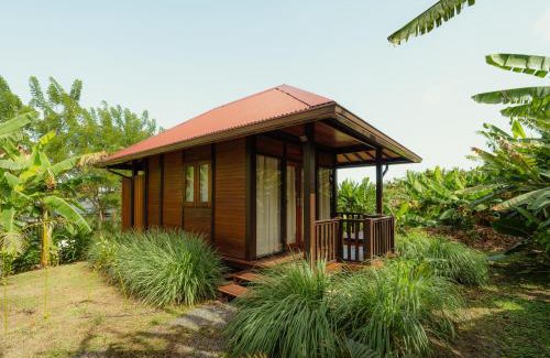 Saint-Francois Cabin | Ecolodge Anacardier- Bungalow 2