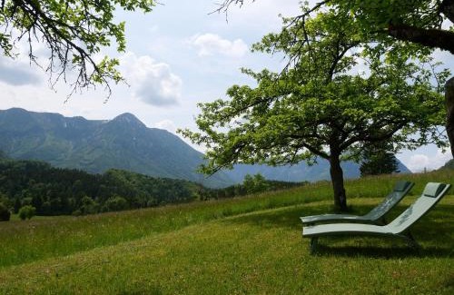 Grundlsee Apartment | Ecologie Grundlsee
