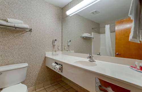Flowood Hotel | Econo Lodge & Suites