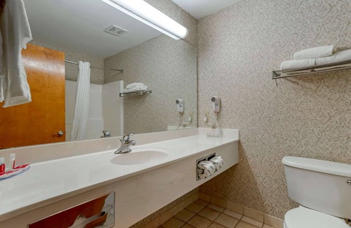 Flowood Hotel | Econo Lodge & Suites
