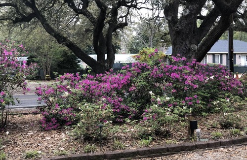 Aiken Cottage | Efficiency cottage in historic Aiken