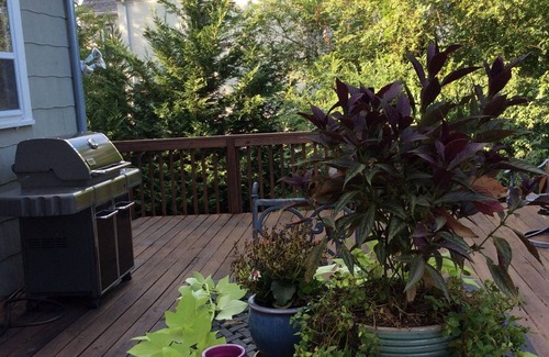 Chattanooga House | Eight Minutes to Anywhere