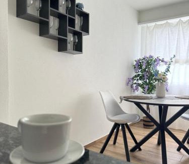 Basel City Centre Apartment | Eine schöne Wohnung am Messeplatz
