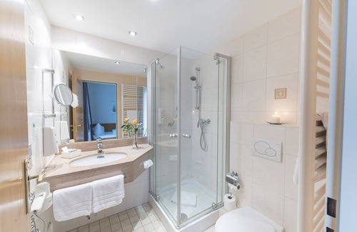 Bad Soden-Salmuenster Apartment | Einzelzimmer Premium mit Dusche und WC